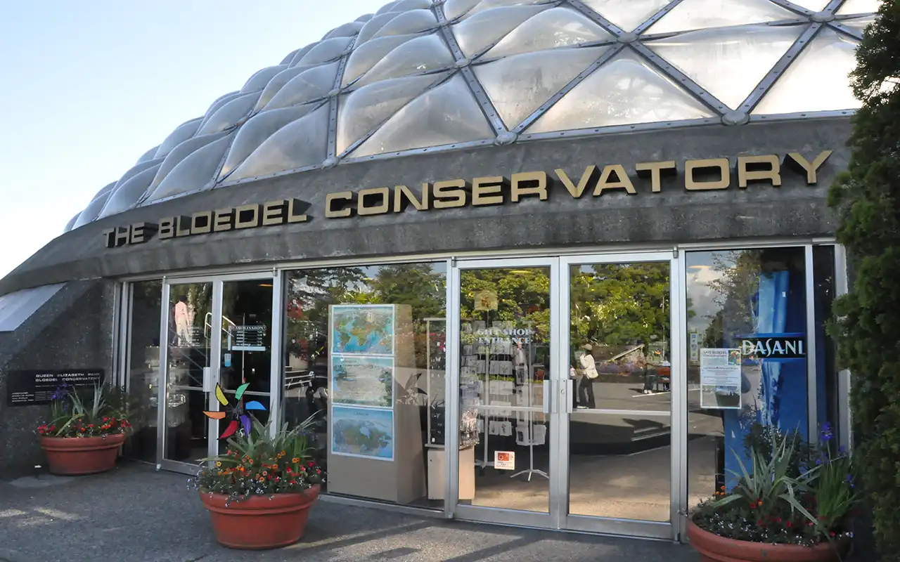 Tropical Atmosphere Inside The Bloedel Conservatory