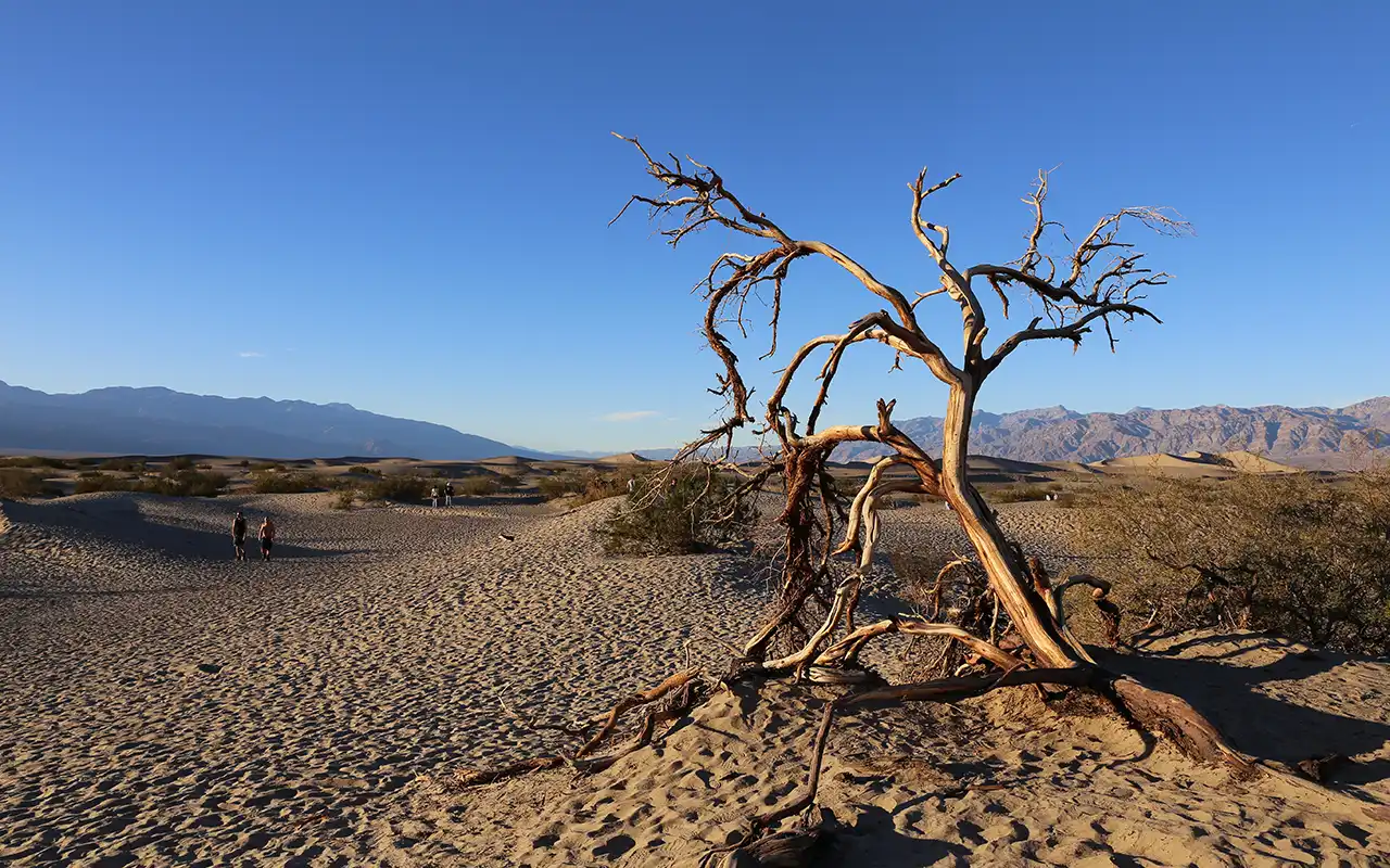 Scenic landscape of Death Valley National Park with dramatic mountains and desert terrain.