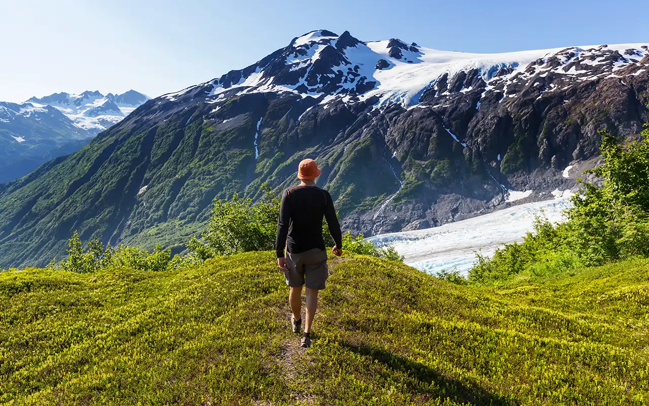 Pristine Wilderness of Kenai Fjords National Park