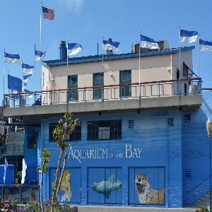 Aquarium of the Bay