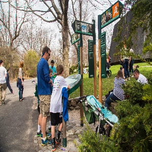 Various animals and visitors enjoying a sunny day at the popular Bronx Zoo in New York City