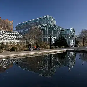 Spring Blooms at The Brooklyn Botanic Garden