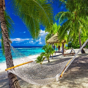 Scenic view of the Cook Islands, showing pristine beaches and lush green landscapes