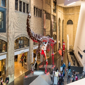 Interactive Exhibits at The Ontario Science Centre