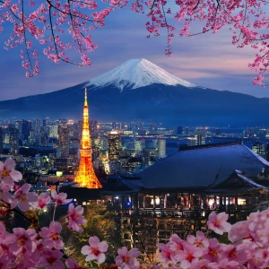 A striking view of the iconic Tokyo Tower illuminated at night