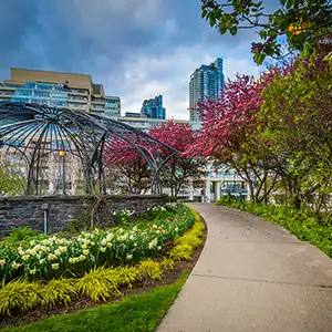 Tranquil Musical Rhythms at The Toronto Music Garden