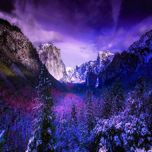 Yosemite National Park