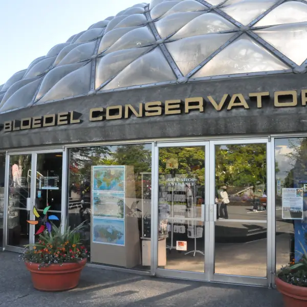 Tropical Atmosphere Inside The Bloedel Conservatory