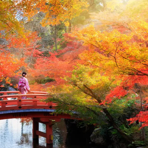Scenic view of Kyoto city with traditional Japanese architecture and beautiful nature surrounding the area.