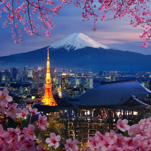 A striking view of the iconic Tokyo Tower illuminated at night