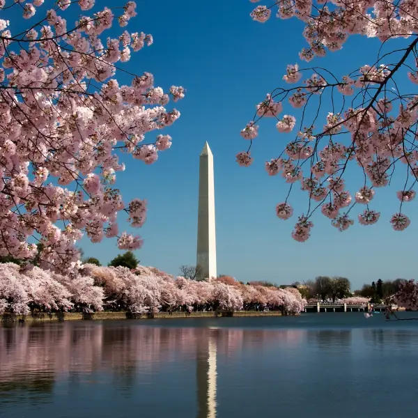 Monumental History of The Washington Monument